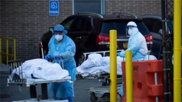 美國疫情最新動(dòng)態(tài)與自然美景的探索之旅