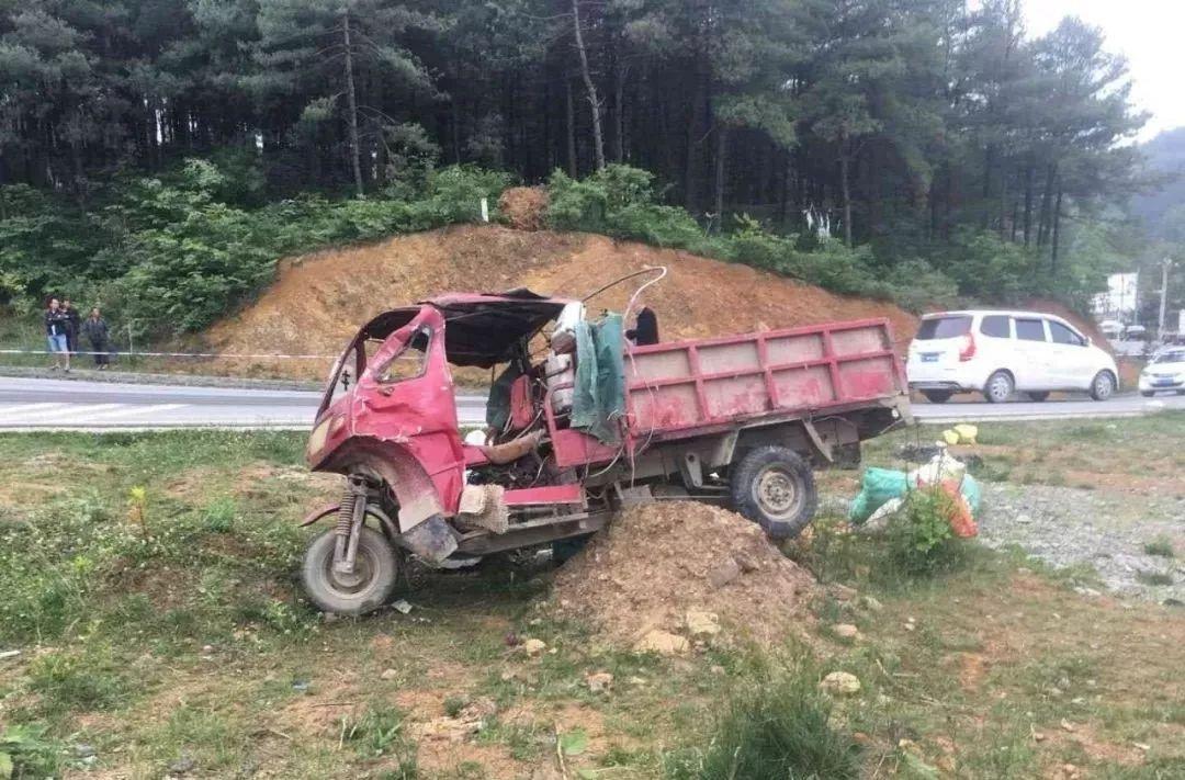 平山事故背后的溫馨故事，友情、愛與陪伴的奇遇