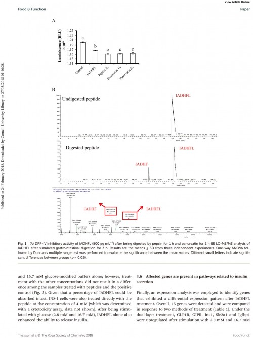 糖肽最新文獻(xiàn)，自然之旅的心靈探尋之旅，尋找內(nèi)心的寧靜