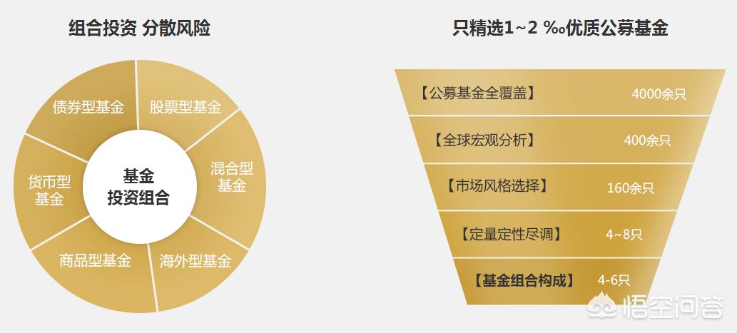 深度解析，今年養(yǎng)雞產(chǎn)業(yè)趨勢與前景展望
