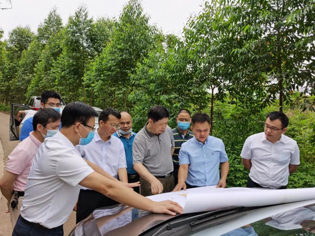 南寧龍象谷最新資訊，游玩指南與技能學(xué)習(xí)步驟全解析