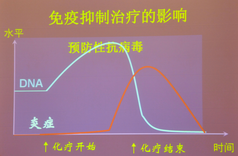 肝炎新進(jìn)展揭秘，小巷深處的秘密小店探索
