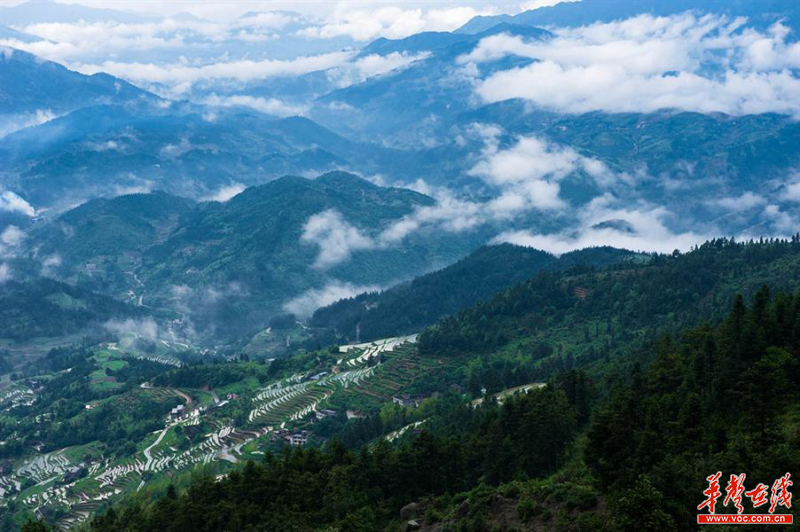 雪峰山資訊，一段溫馨有趣的探索之旅