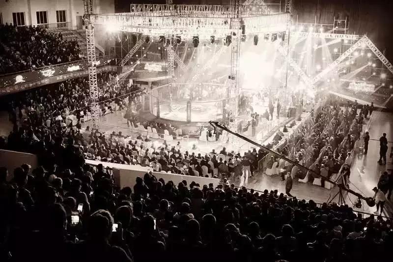 武林籠中對最新一期，自然美景中的對決與內心平靜之旅