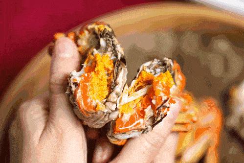 ??陽(yáng)澄湖螃蟹上市季節(jié)情報(bào)，吃貨必知的秋季美味盛宴！??