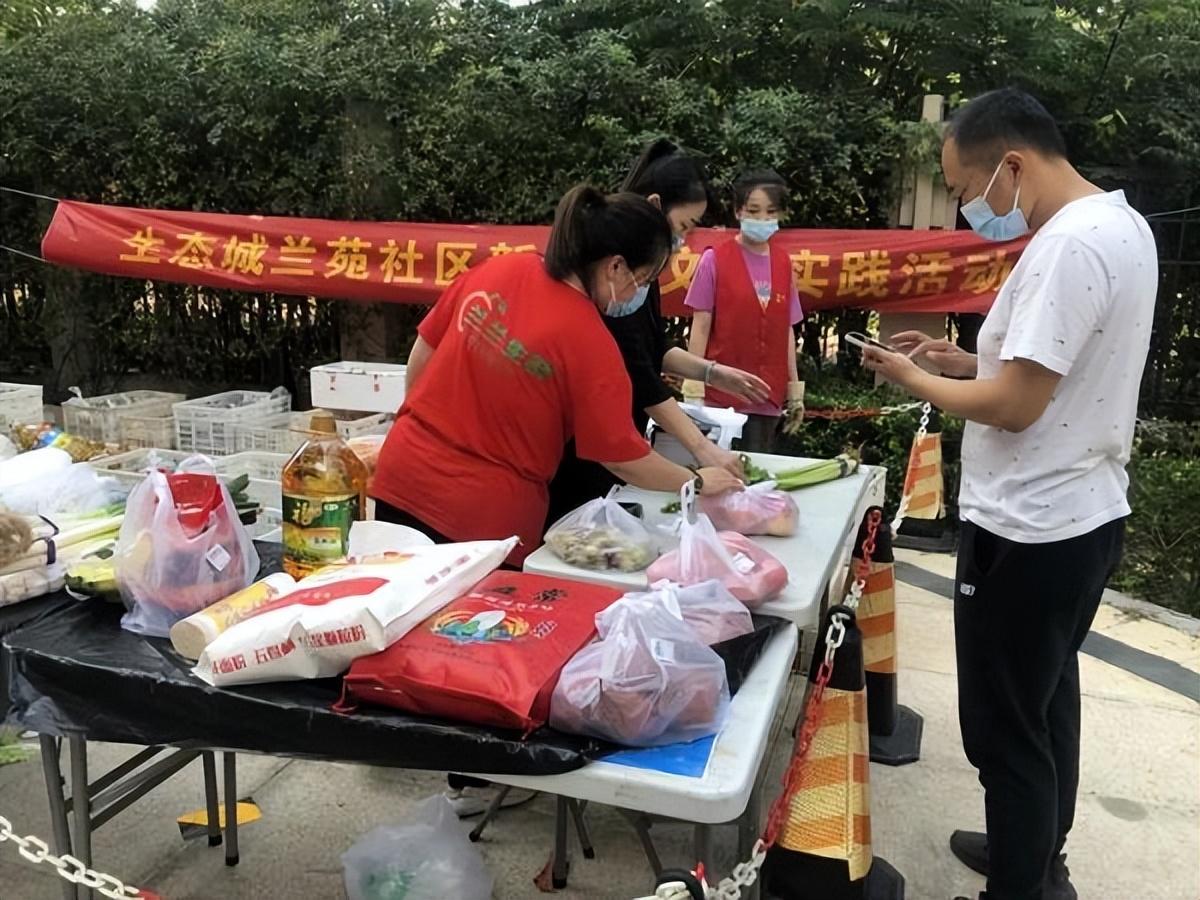 保利華潤紫云價格深度解析，探尋背后的故事與地位影響