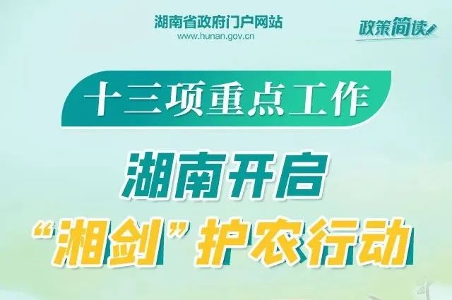 鋁業(yè)巨頭山鋁南定舉辦最新職位招聘盛宴，人才招募火熱進(jìn)行中！