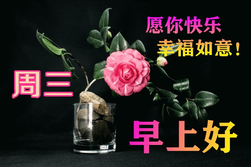 最新早晨問(wèn)候動(dòng)態(tài)表情包，溫馨問(wèn)候，從表情開(kāi)始！