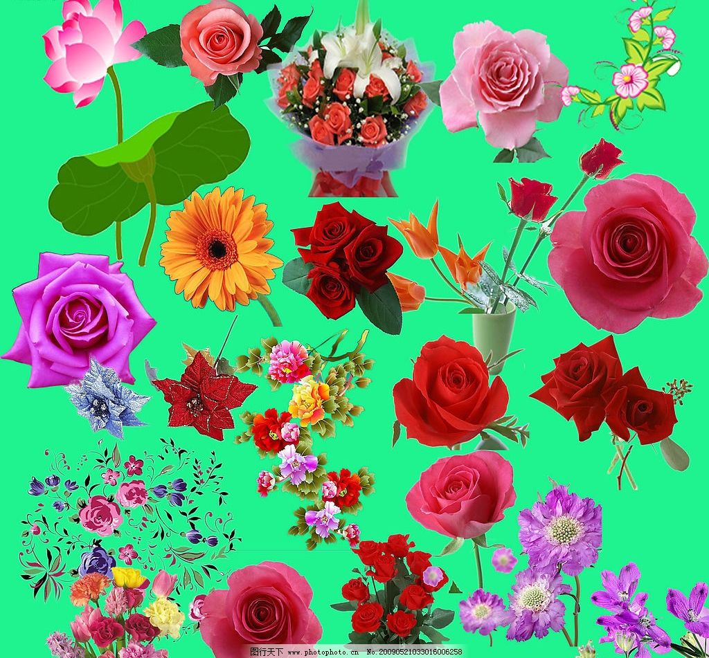 最新花款下載，愛與陪伴的溫馨之旅