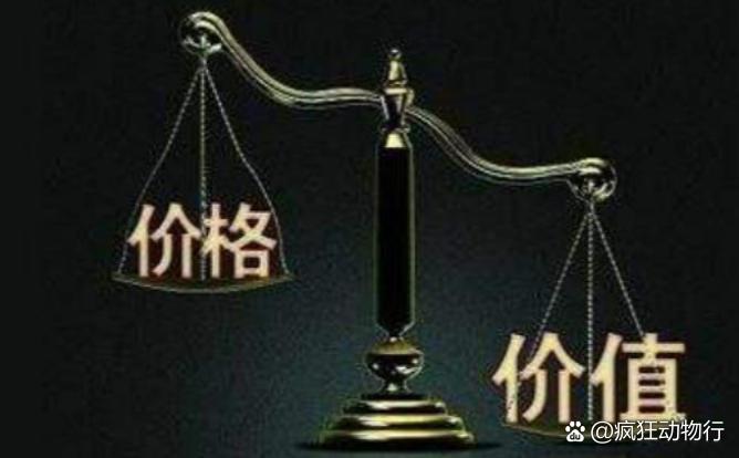價格與價值解析，差異何在？