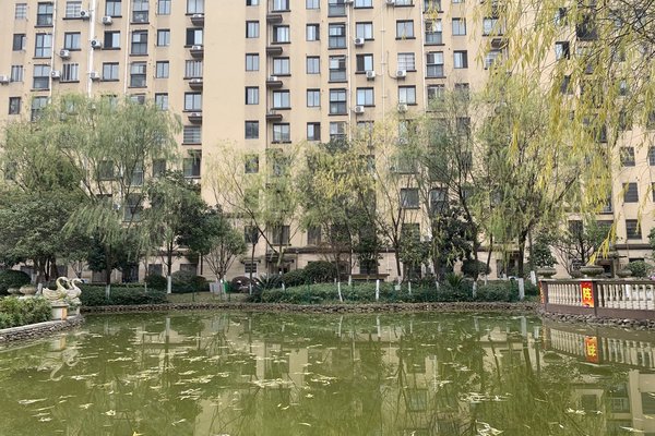 中豪明珠城最新價(jià)格，時(shí)代印記與城市的脈動
