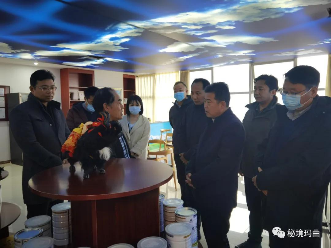 高原之寶上市，學(xué)習(xí)、蛻變與自信的輝煌之旅