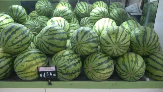 紅薯價格最新行情，市場機遇與自我超越的探尋之旅