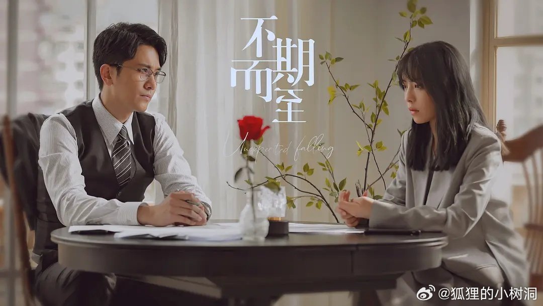 不期而至電視劇，從入門到進(jìn)階的觀看指南