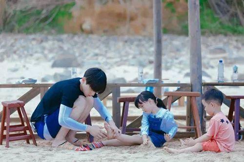 最新TV版資訊深度剖析，電視劇熱潮的影響力與影響