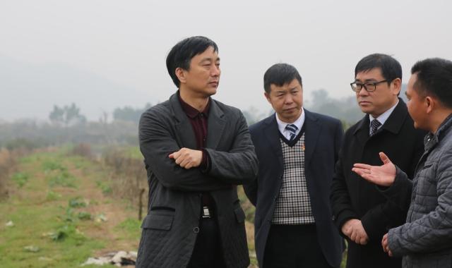 錦富技術最新動態(tài)更新，最新消息匯總