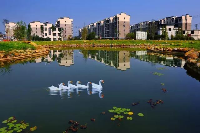 萍鄉(xiāng)安源湖，最新動態(tài)揭示湖畔變革與自我超越之旅