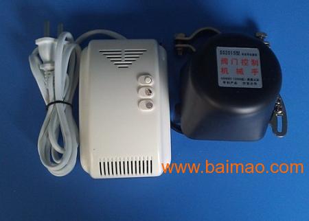 燃?xì)鈭?bào)警器價(jià)格深度探索，小巷獨(dú)特小店里的燃?xì)鈭?bào)警器價(jià)格揭秘！