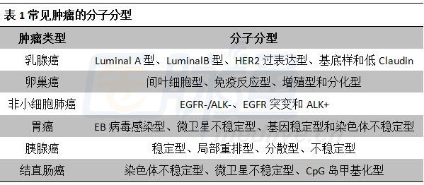 最新乳腺分類科技產(chǎn)品介紹，引領乳腺健康新篇章