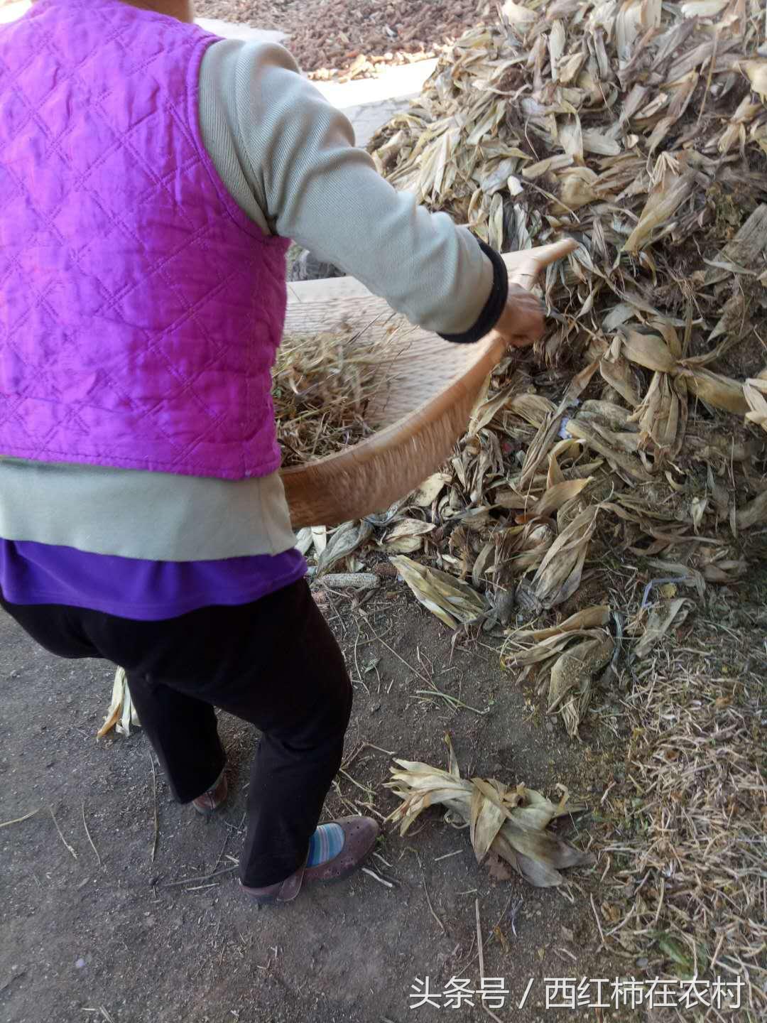 彬縣撤縣設區(qū)最新進展，最新動態(tài)更新