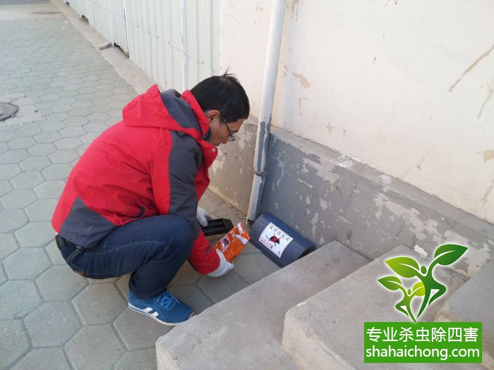 最新滅鼠技術(shù)的觀點(diǎn)論述與立場(chǎng)闡述，創(chuàng)新方法的探索與挑戰(zhàn)