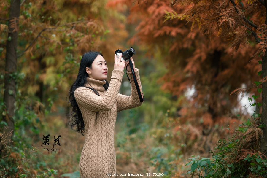 伊人在線電影，探索現(xiàn)代網(wǎng)絡影視的新境界