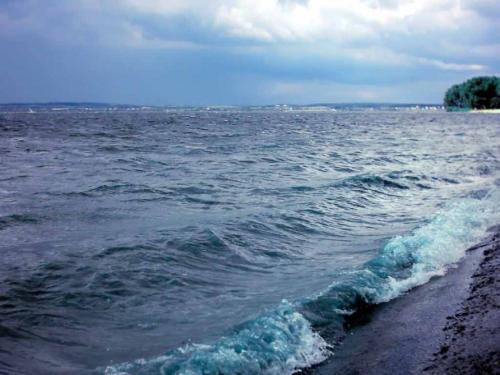 佳木斯新版，時代印記與變遷的見證者