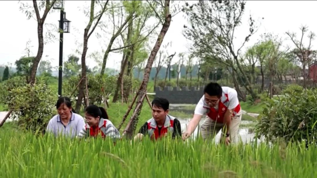 曲陽縣城最新招聘信息揭秘，小巷中的獨(dú)特小店等你來探索！