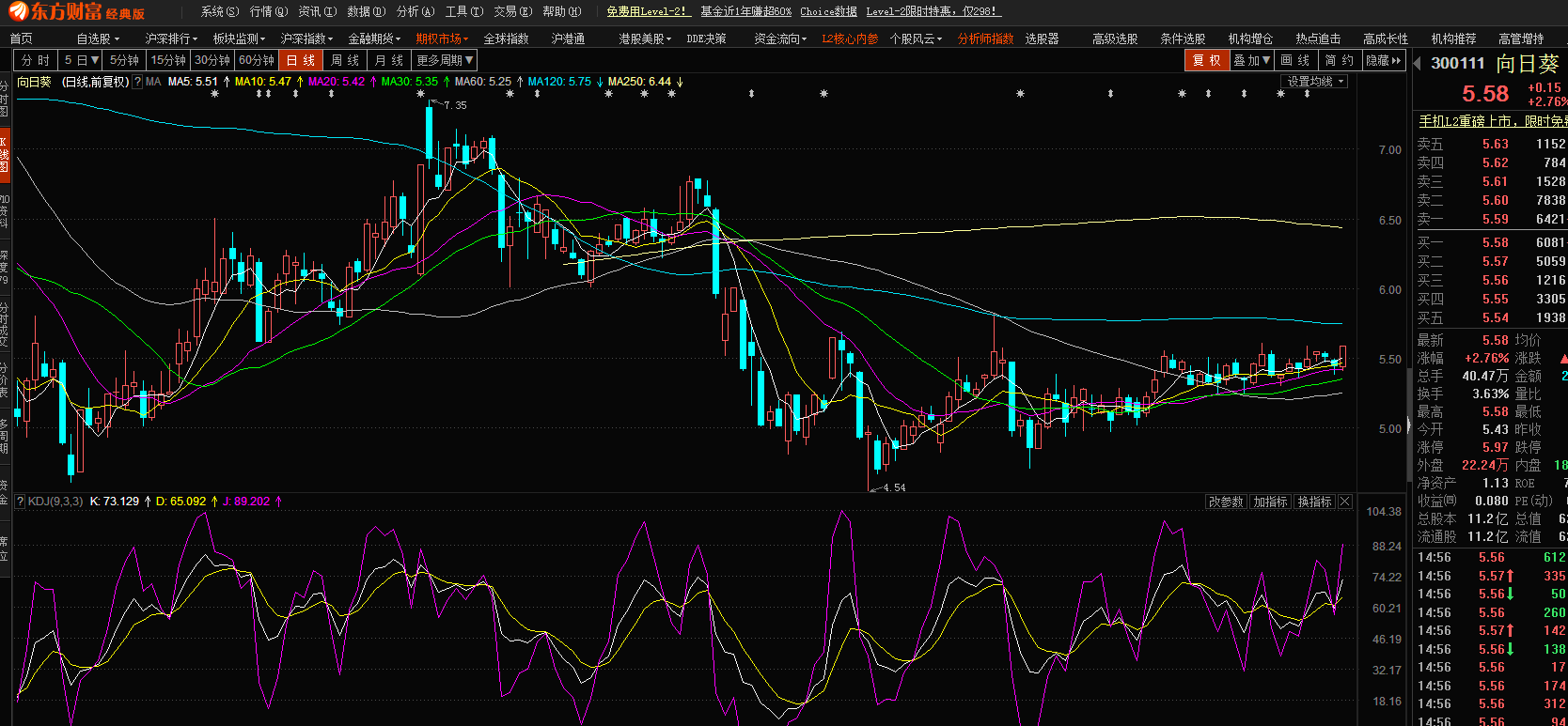 股市小天地，友情大天地——我與股票300141的日常故事分享