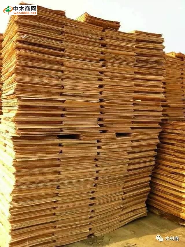 科技革新引領(lǐng)板皮廠行情，開啟板材加工新時(shí)代