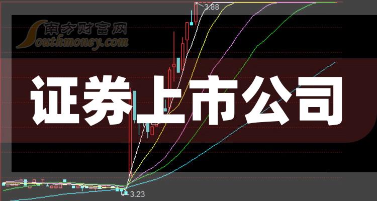 科技巨頭引領(lǐng)下的全新視界，股票上市公司概覽