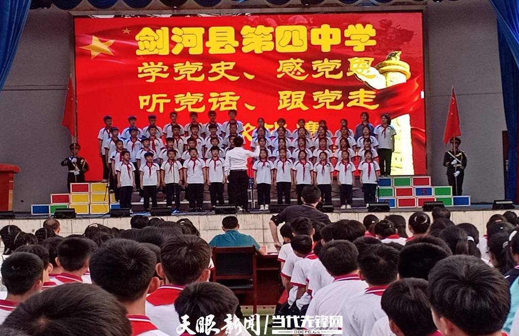 青蛙與狗的泳池挑戰(zhàn)，揭秘游泳比賽背后的故事，青蛙夢工廠的秘密探索