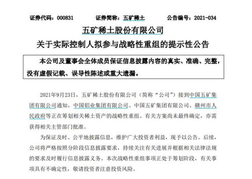 南方稀土股票，小巷中的隱秘寶藏，探索投資魅力的未知之旅