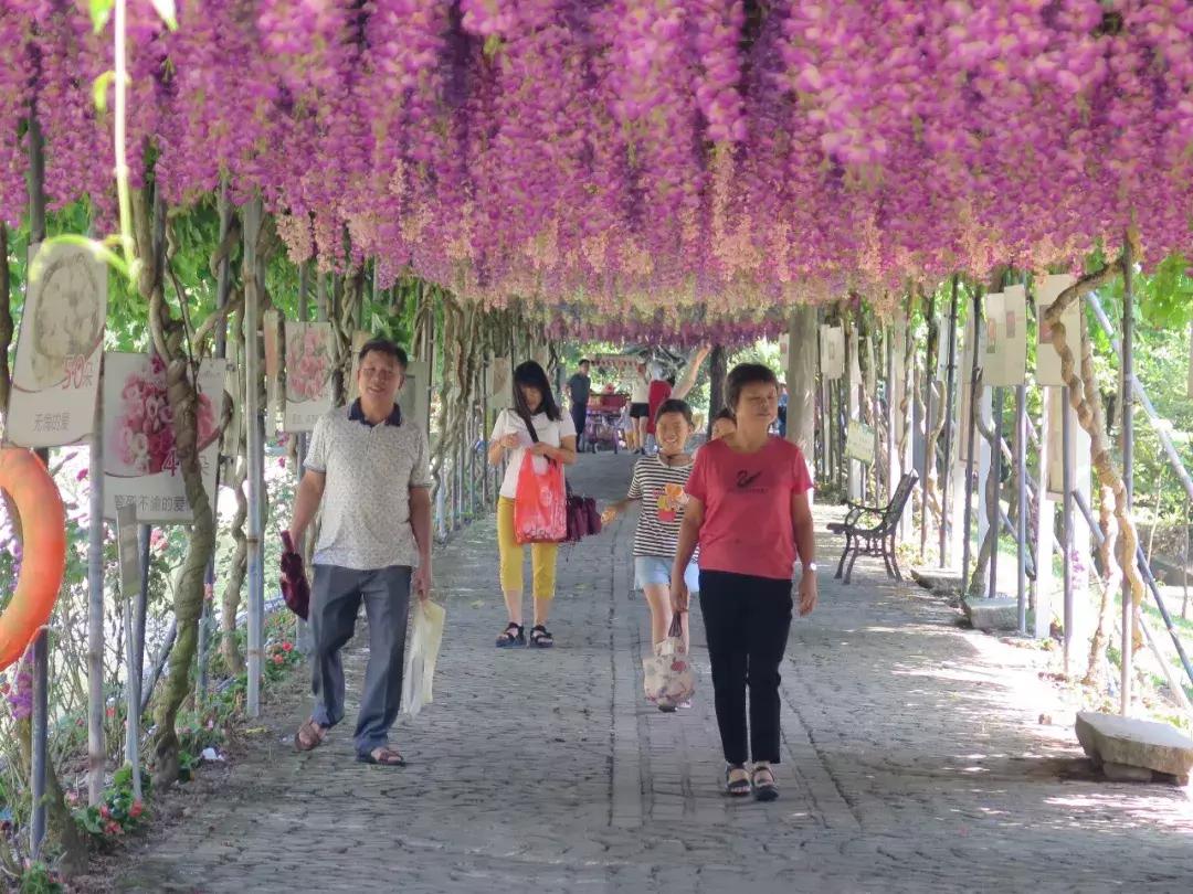 收入寶全新版本，家庭與友情的交織故事