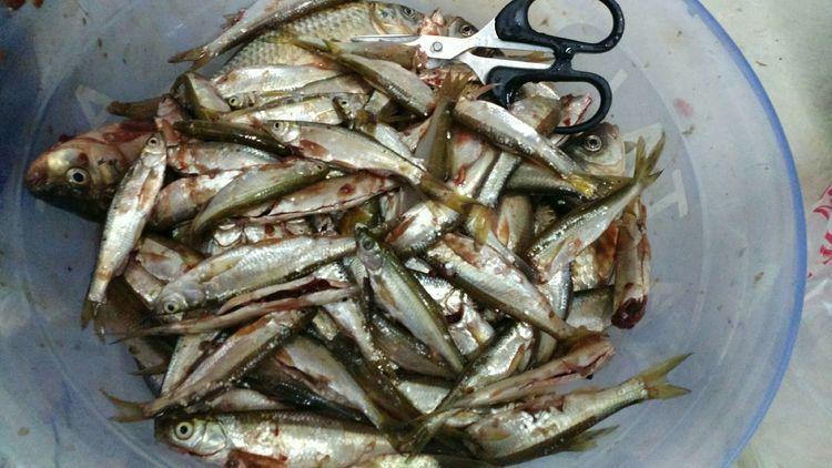 昆明最新野釣地點探索，重拾生活激情與自信的自然之旅