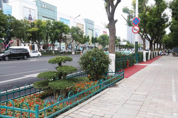 濰坊市奎文區(qū)改造工程，自然美景的探索之旅