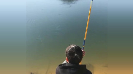 楊柏文最新垂釣視頻，從初學者到進階用戶的技能提升指南