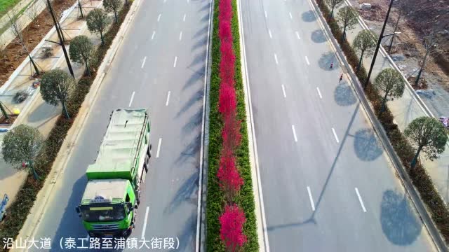 關(guān)花大道最新進(jìn)展，矚目盛景呈現(xiàn)！