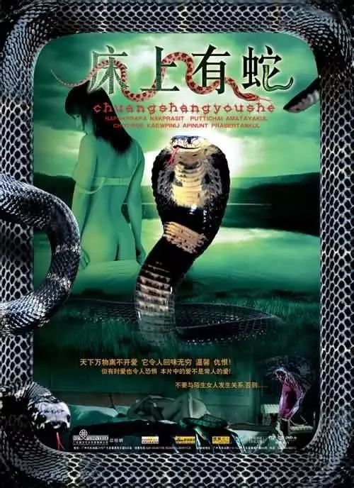 最新蛇片，蛻變的旅程，召喚自信與成就感的冒險(xiǎn)之旅
