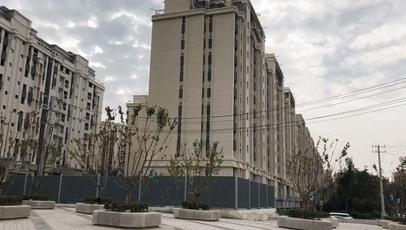 趙村最新動(dòng)態(tài)，鄉(xiāng)村振興新篇章開(kāi)啟