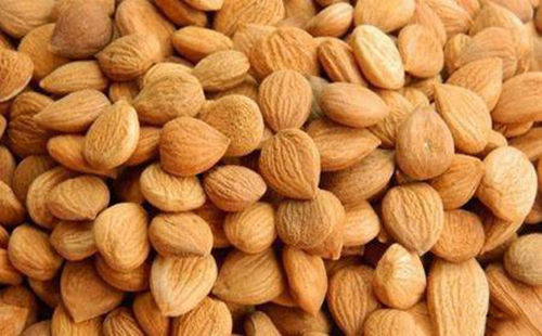 苦杏仁行情深度解析，背景、事件與地位探究