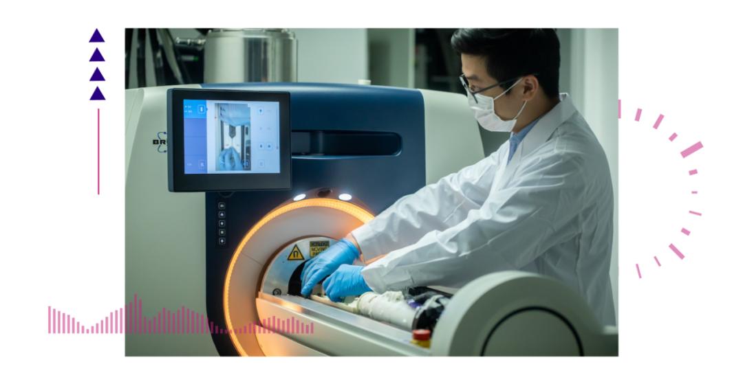 香港脊髓研究取得新進展，探索自然美景的心靈之旅新篇章