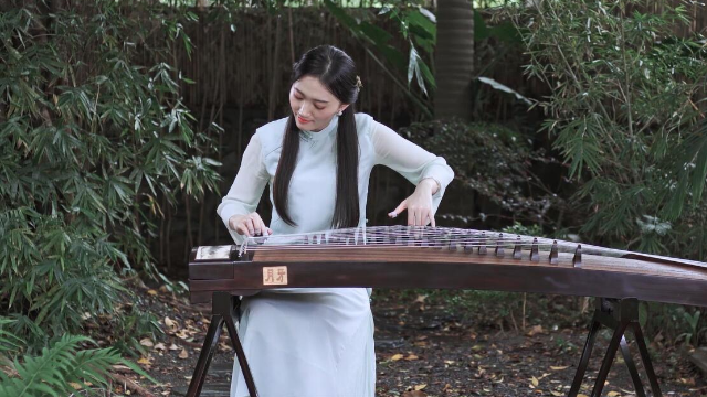 抖音最新琵琶演奏，古典與現(xiàn)代的完美融合之美