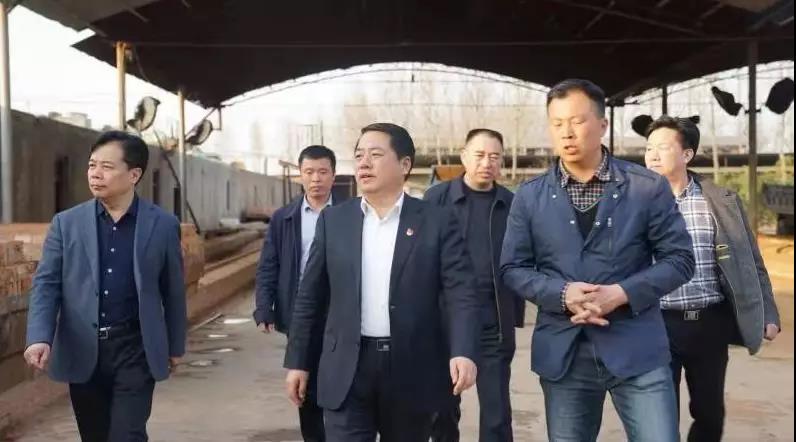 商丘王仲田最新動(dòng)態(tài)，探索自然美景的旅行，尋求內(nèi)心平和之旅