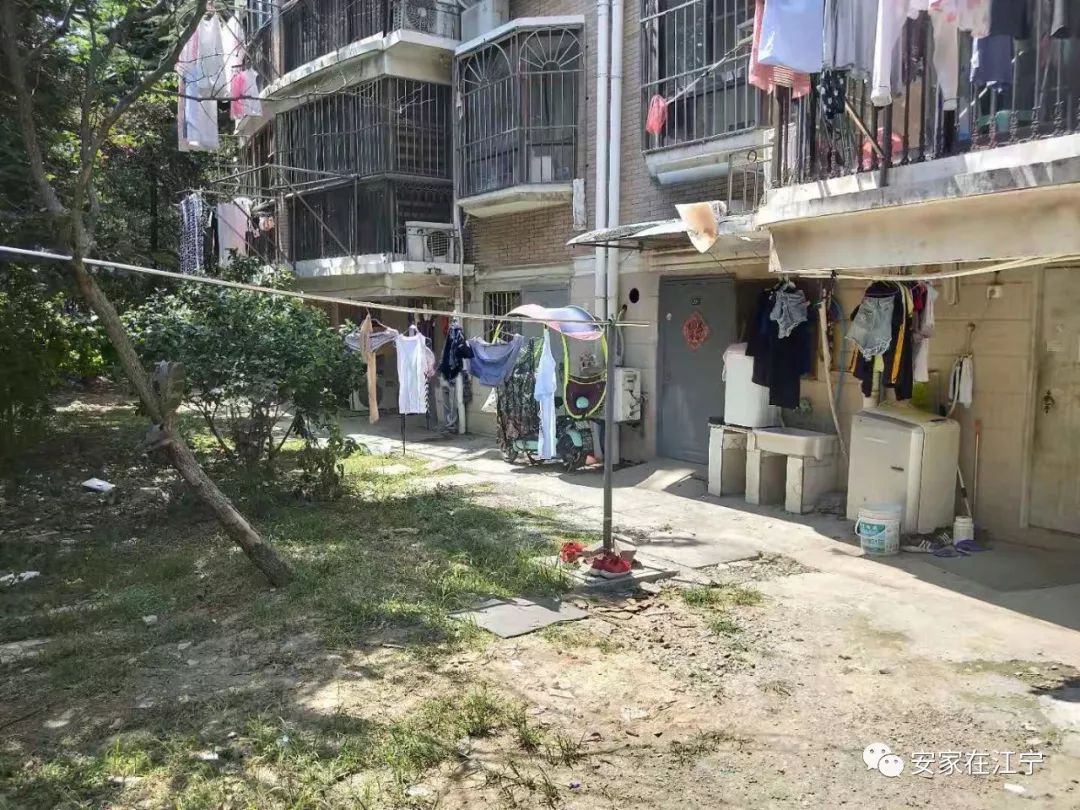 最新大雜亂時代，混沌與秩序的重建之路