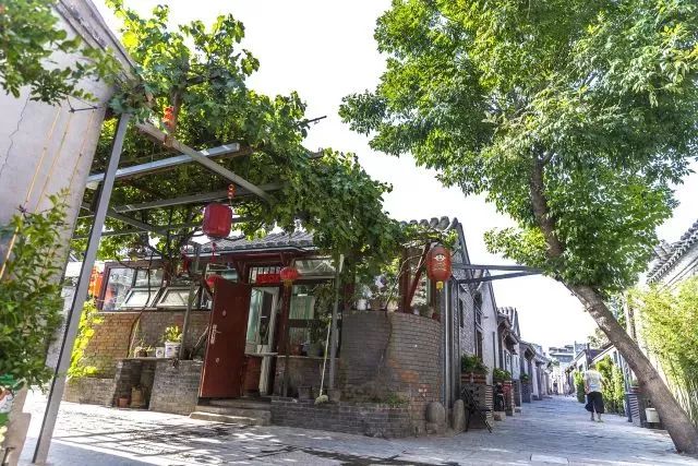 草社區(qū)美食探險之旅，探尋小巷中的隱藏寶藏與最新地址揭秘