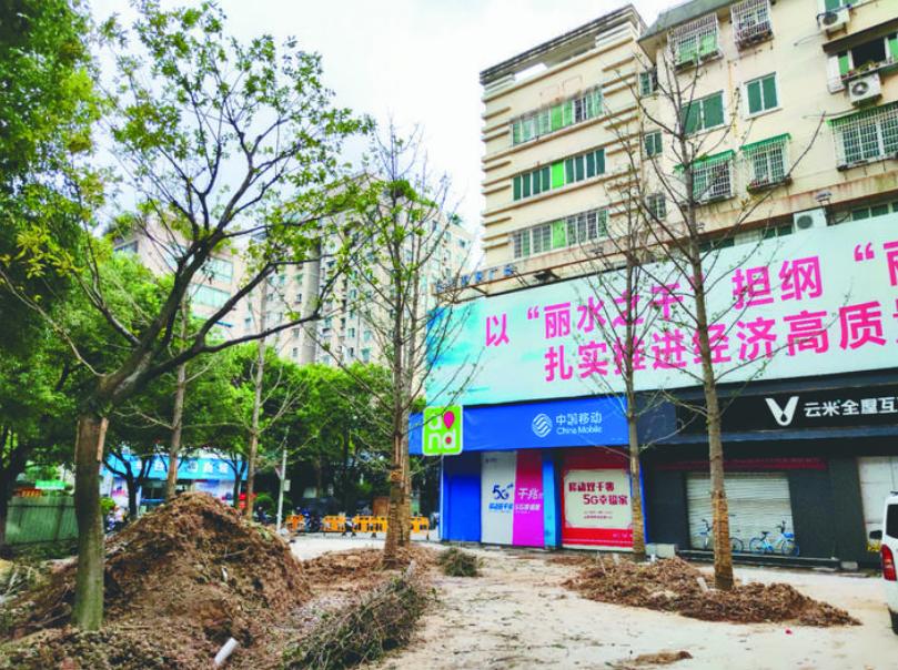 最新吊車網(wǎng)，自然美景之旅與內(nèi)心平靜的探尋