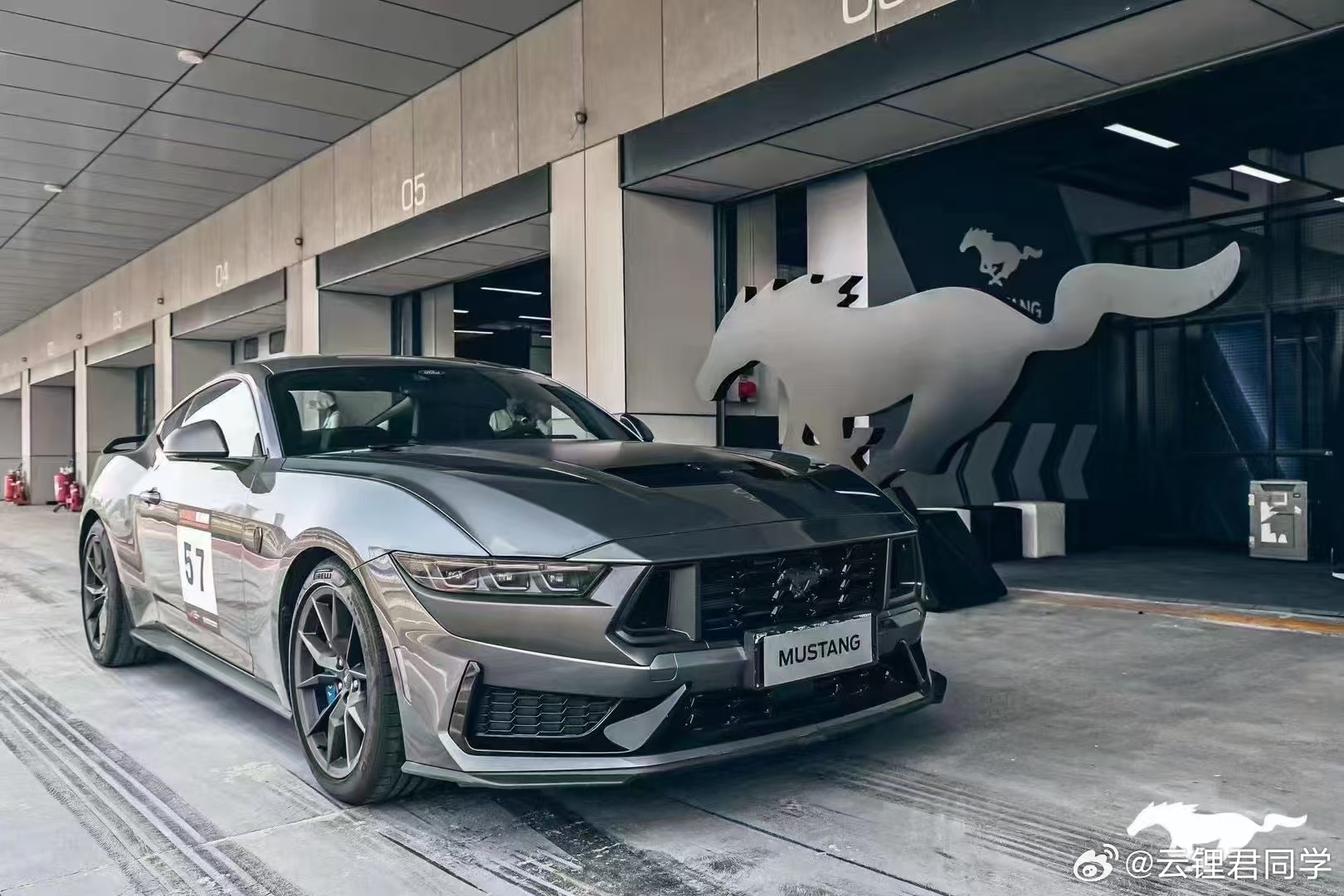 野馬擼最新動(dòng)態(tài)，駕馭變化，自信成就夢(mèng)想之旅