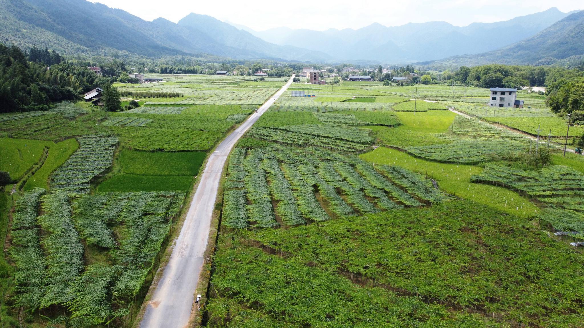 新文村，時(shí)代變遷下的文化繁榮與發(fā)展新篇章