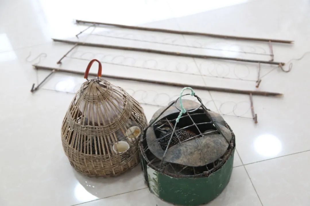 小巷中的神秘寶藏揭秘，最新捕鳥工具揭秘